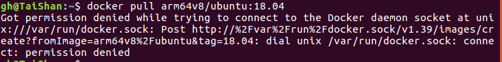 Got permission denied while trying to connect to the Docker daemon socket